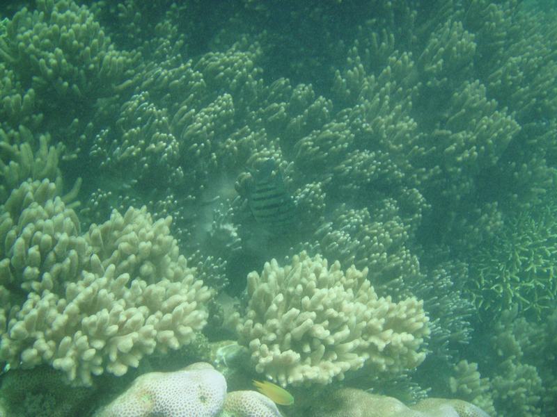 Underwater 7