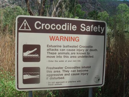 Croc Warning!
